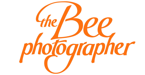 The Bee Photographer