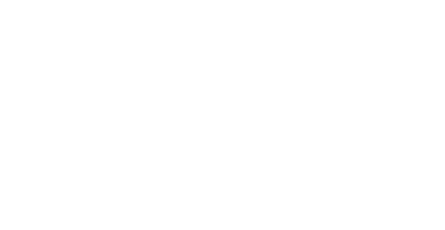 The Bee Photographer